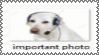 important-stamp